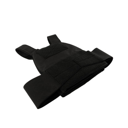 Reduced Visibility Plate Carrier (RVPC)